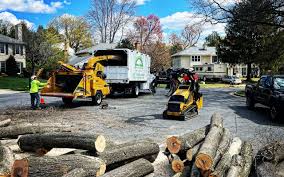 Best Pest Control for Lawns  in North Kensington, MD